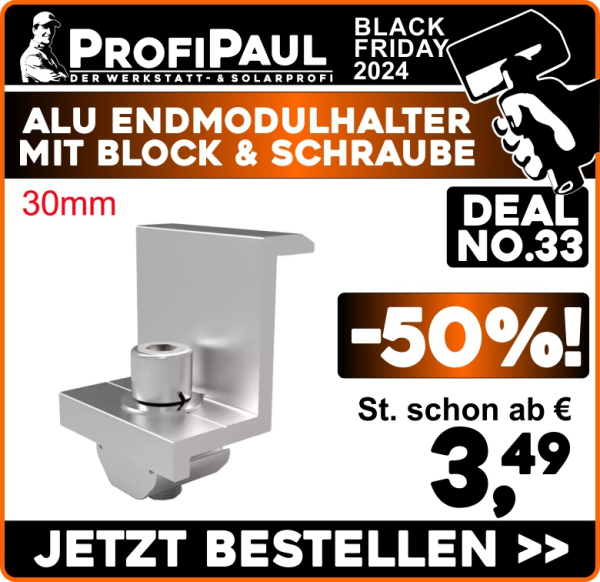 Alu Endmodulhalter 30mm mit Block & Schraube